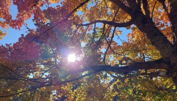 TerrEssenCiel : Paroles Inspirantes