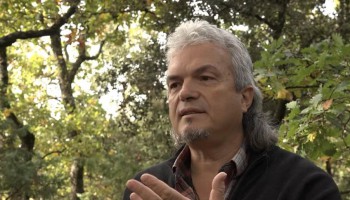 TerrEssenCiel : Eric Fleury : soins et harmonisation énergétiques, accompagnement personnel