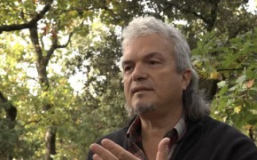 TerrEssenCiel : Eric Fleury : soins et harmonisation énergétiques, accompagnement personnel